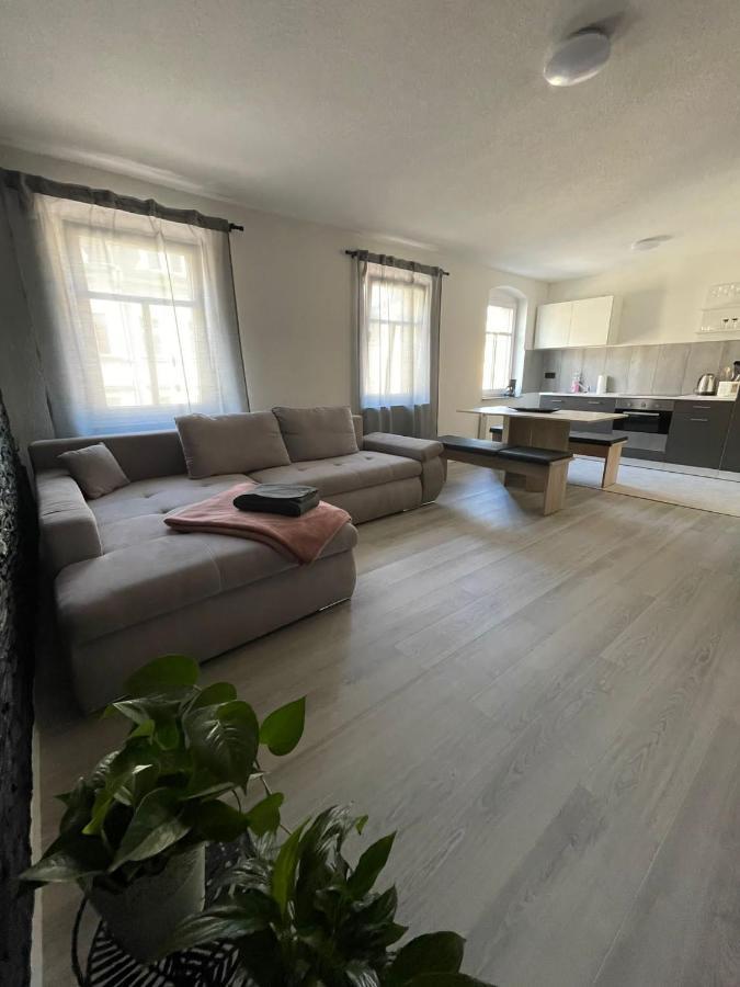 Apartment Buergerstrasse 47 60Q.M 德累斯顿 外观 照片